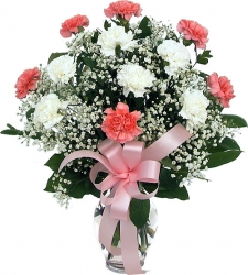 Pink And White Carnations Bouquet