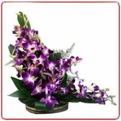 Arrangement Of Orchid  2