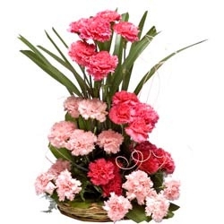 Red&Pink Carnation Bouquet