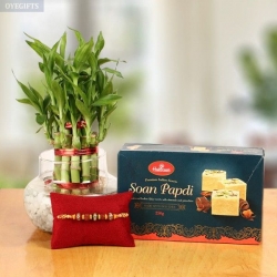 A Box Of Soan Papdi & Lucky Bamboo