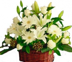  White Flowers For Eid 