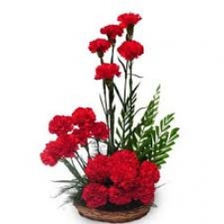 Red Carnation Basket Arrangement