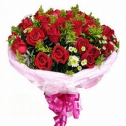 24 Red Roses Bunch 