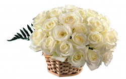 15 White Rose  Bouquet