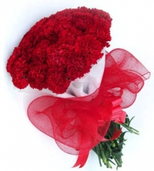 24 Red  Carnation  Bouquet
