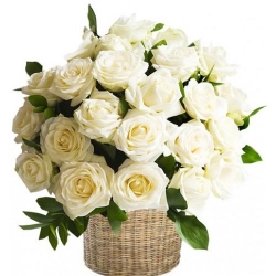35 White Roses Basket