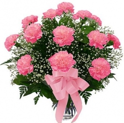 15 Pink Carnation Bunch