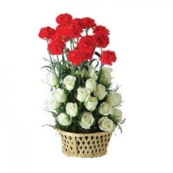Red And White Flower Arrangement