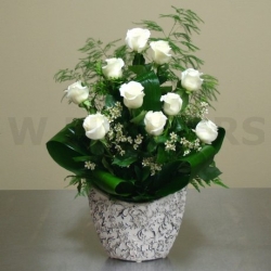 White Roses  Arrnagement