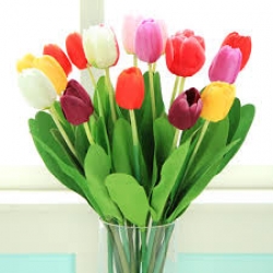 Tulip Special