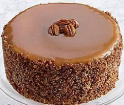 Chocolate Caramel Pecan Cake
