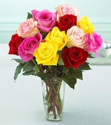 18 Mixed Roses In Vase