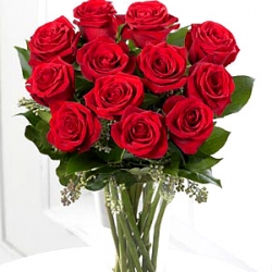 12 Red Long Stem Roses
