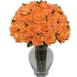 12 Orange Roses In Vase