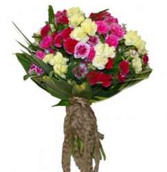 50 Multicolor Carnation  Bouquet