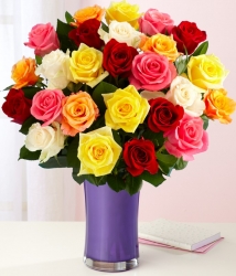 50 Multicolor Rose Arrangement