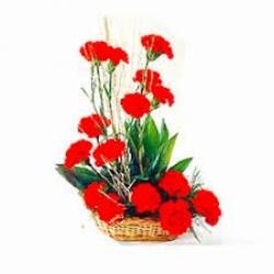 Red Carnation Bouquet