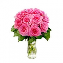 12 Pink  Roses In Vase