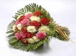 Multicolor Carnation Bouquet